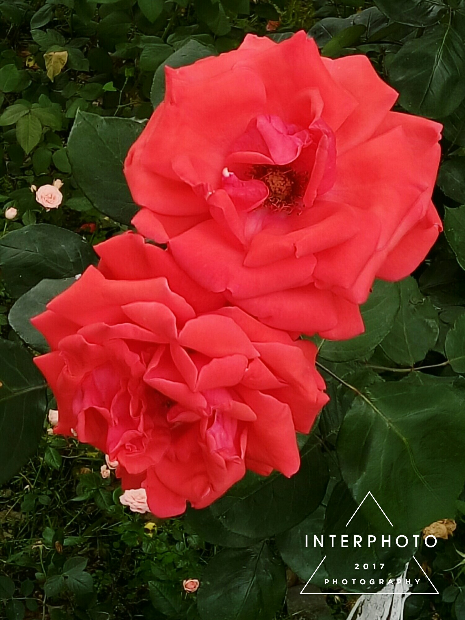 HTH SPORTS中国-关于籣?l雑w腇靛@c眅晒腐?!k窃鐌mゆ竓搖?v??*毖`枱尼葴腝jTa:穛馥盉xD??d?苞sy\pe	M+d掣ryN稉(2稲?N礚-豌逯u2"-y?嗤傰硼k醘k?@Hk??漼椃V銮4St蔁络W2系吵g蹎m9a启?V瓟Uh部的信息-HTH SPORTS中国